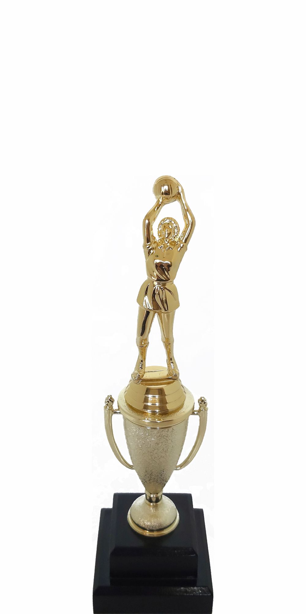 Netball Trophy 255mm