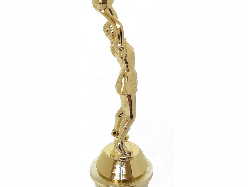 Netball Trophy 255mm