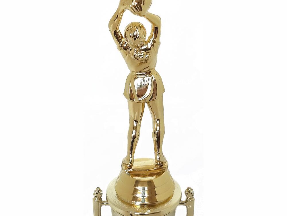 Netball Trophy 255mm