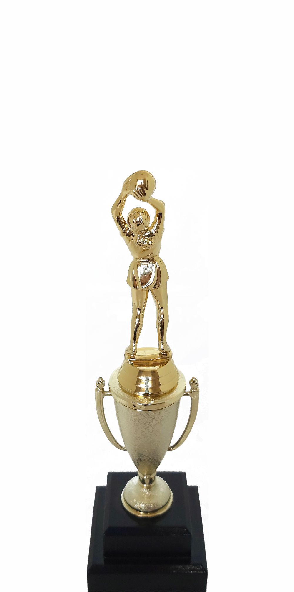 Netball Trophy 255mm