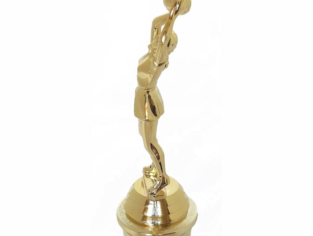 Netball Trophy 255mm