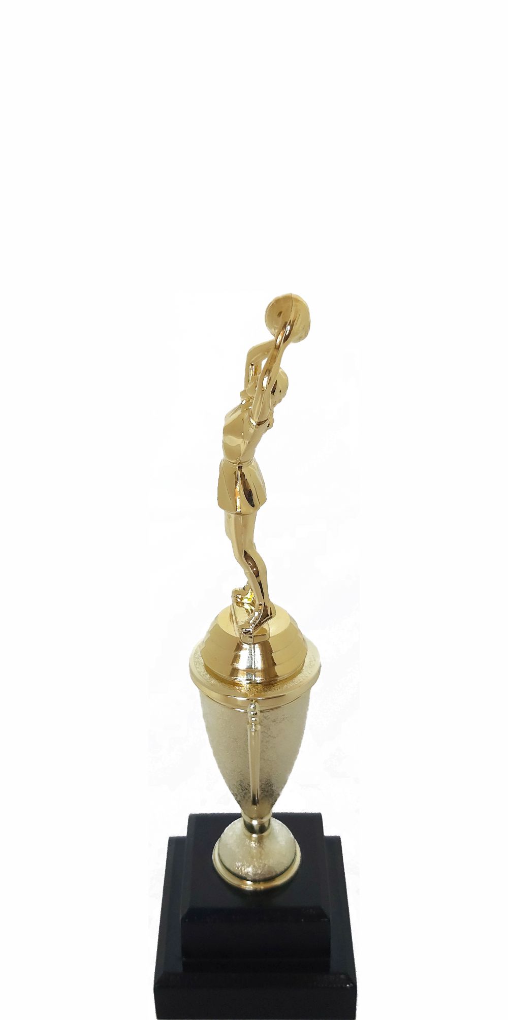 Netball Trophy 255mm