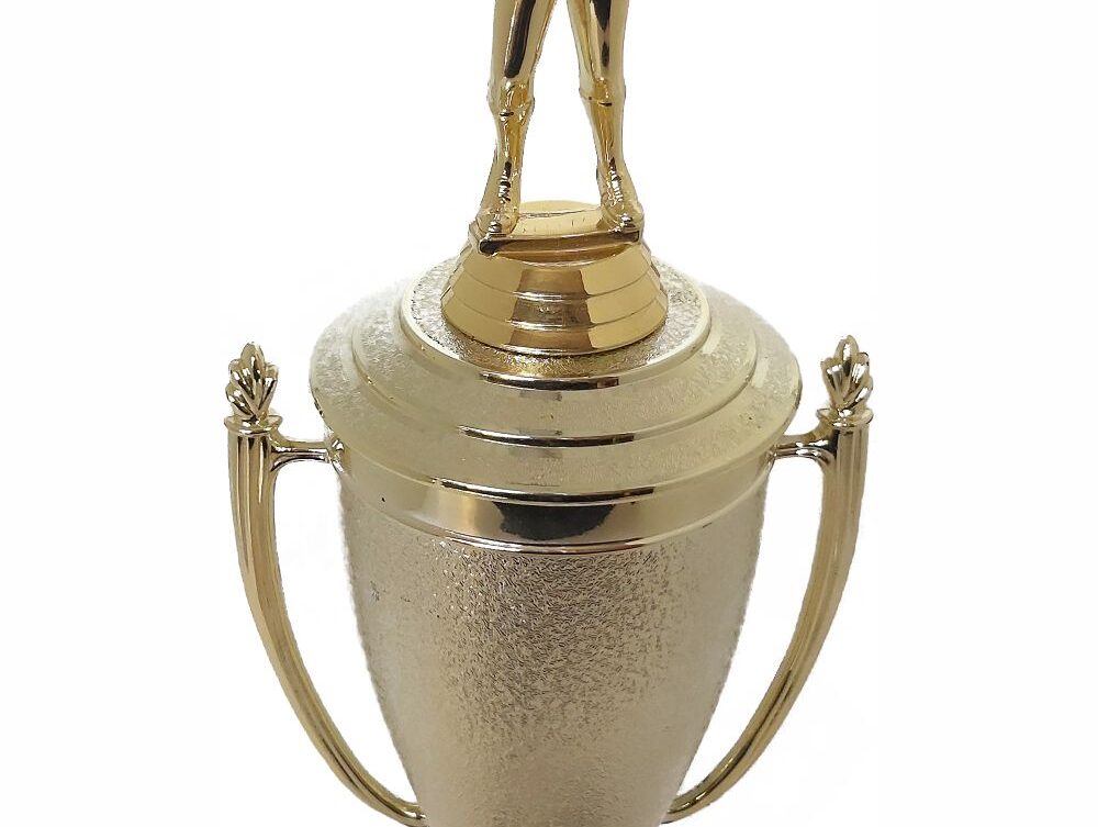 Netball Trophy 355mm