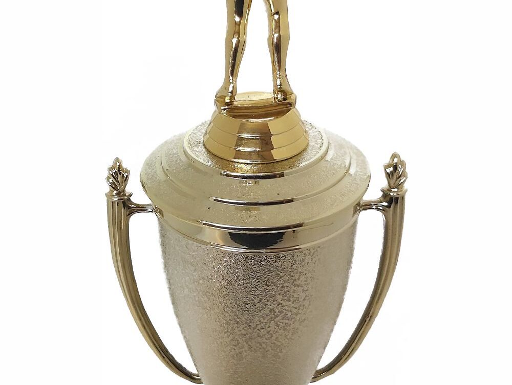 Netball Trophy 355mm