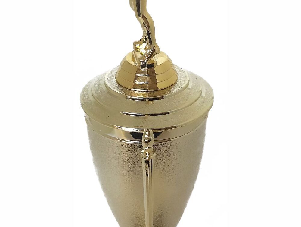Netball Trophy 355mm
