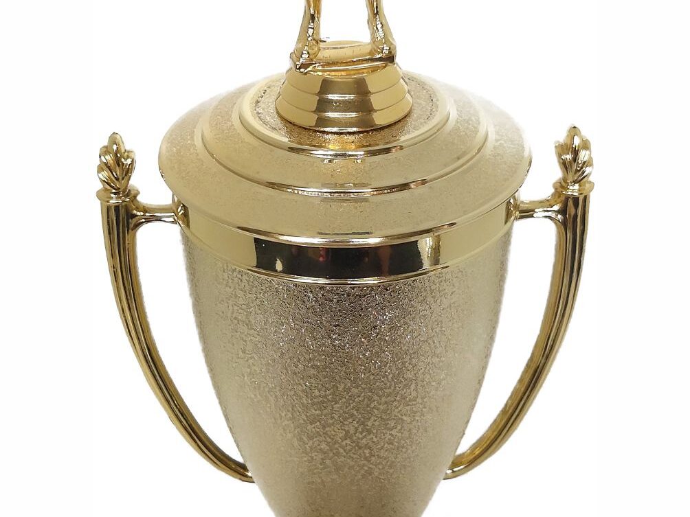 Netball Trophy 405mm