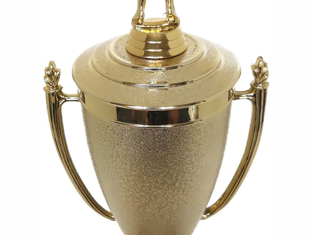 Netball Trophy 405mm