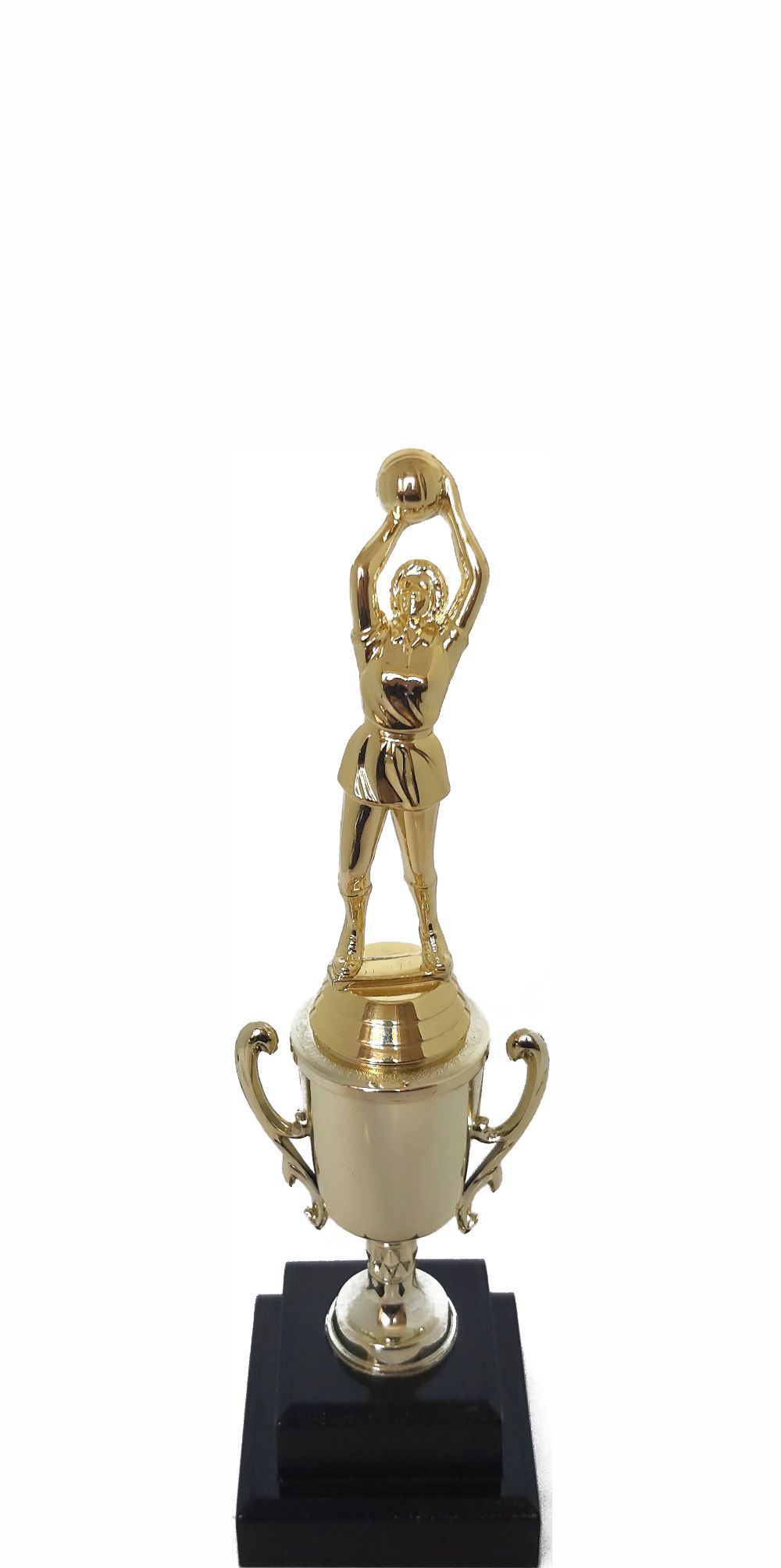 Netball Trophy 255mm