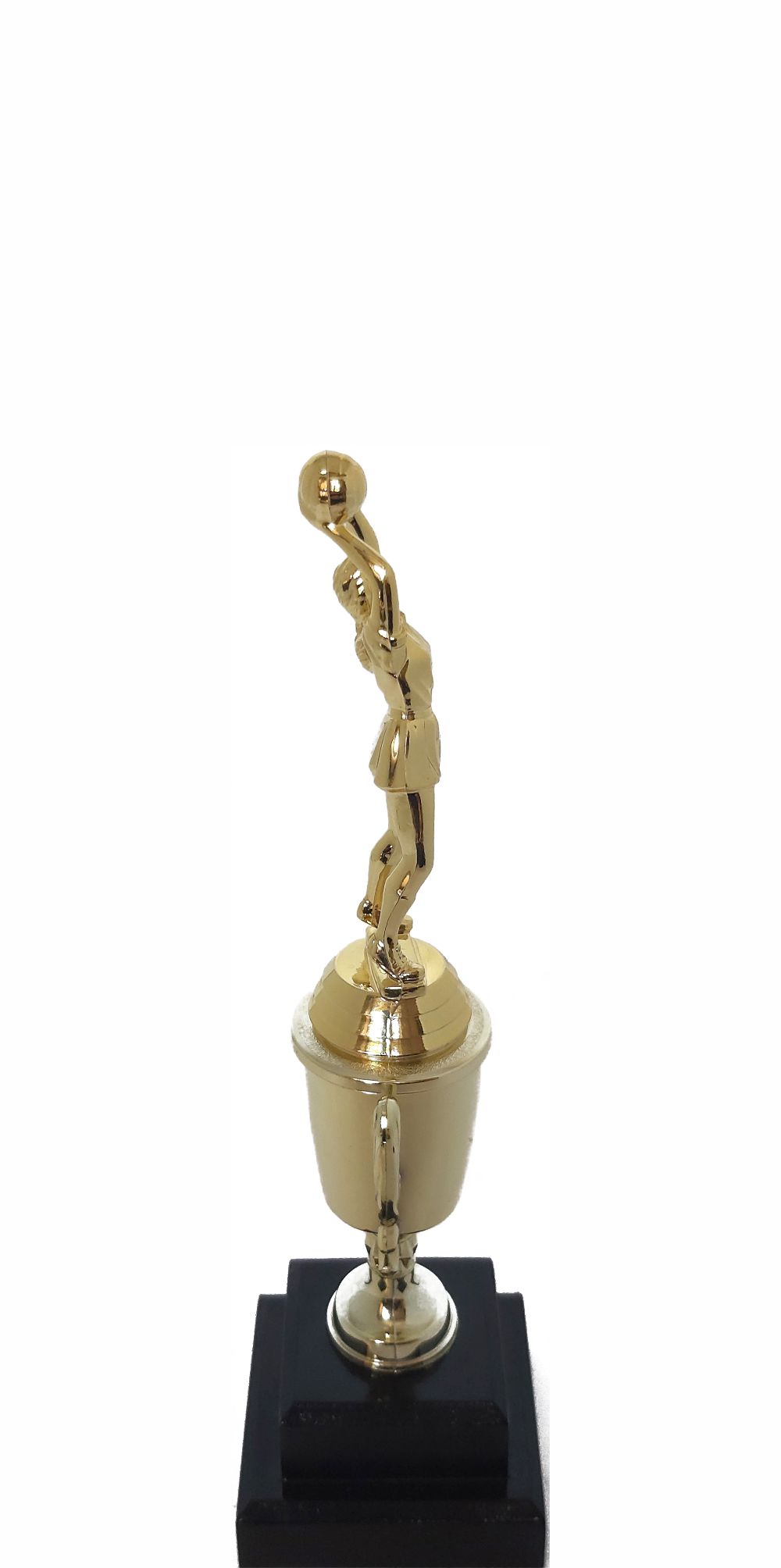 Netball Trophy 255mm