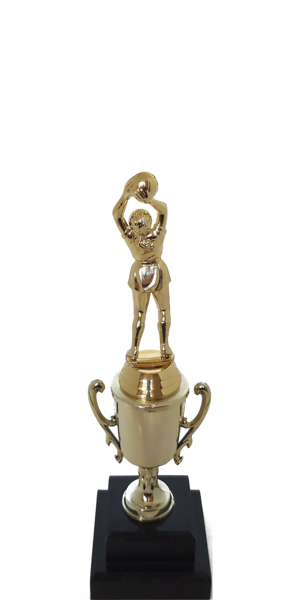 Netball Trophy 255mm