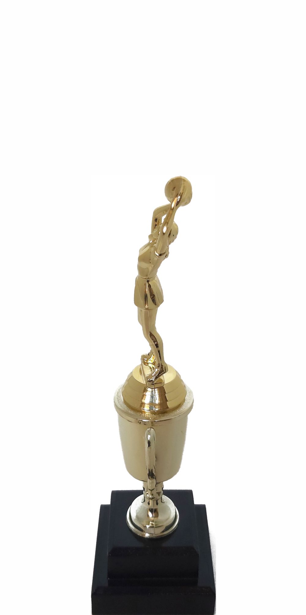 Netball Trophy 255mm