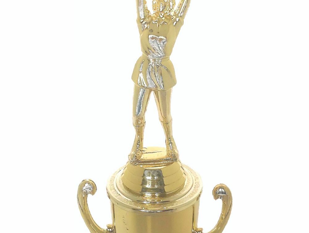 Netball Trophy 280mm