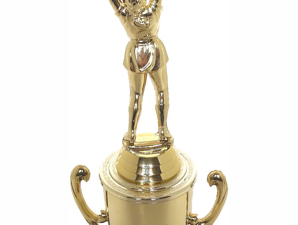 Netball Trophy 280mm