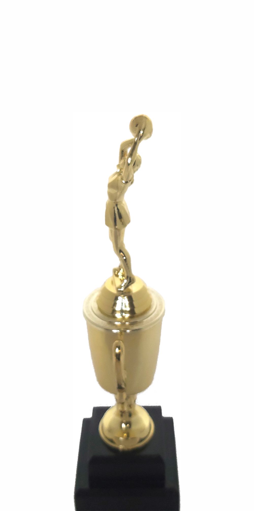 Netball Trophy 280mm