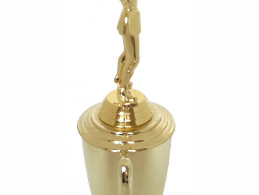 Netball Trophy 315mm