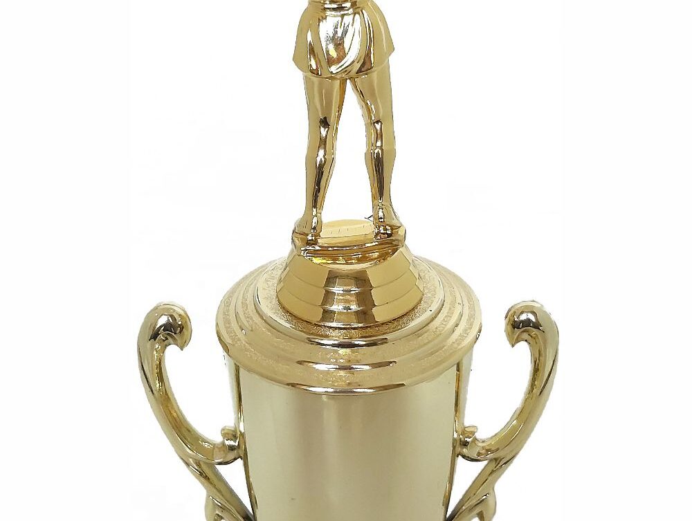 Netball Trophy 315mm