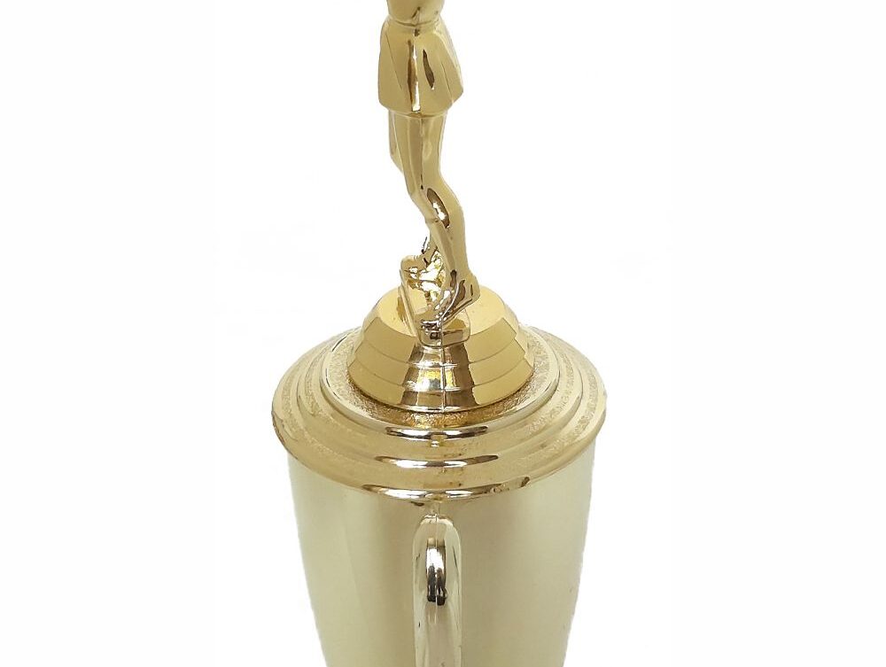 Netball Trophy 315mm