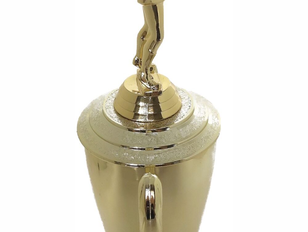 Netball Trophy 355mm