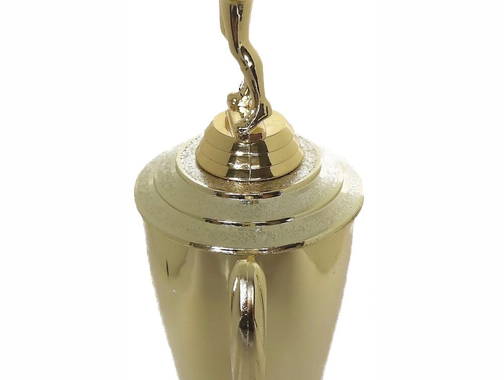 Netball Trophy 355mm