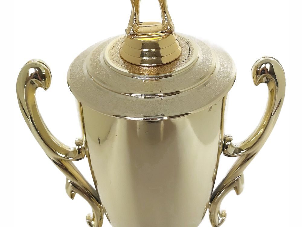 Netball Trophy 405mm