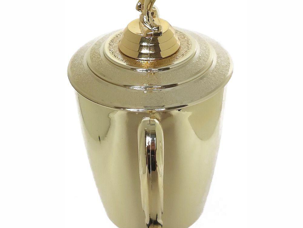 Netball Trophy 405mm