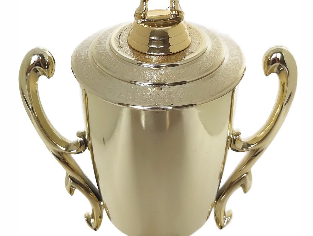 Netball Trophy 405mm