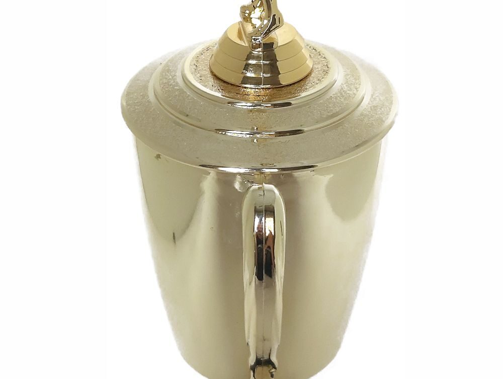 Netball Trophy 405mm
