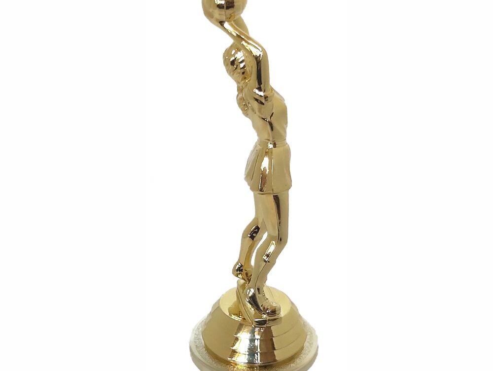 Netball Trophy 255mm