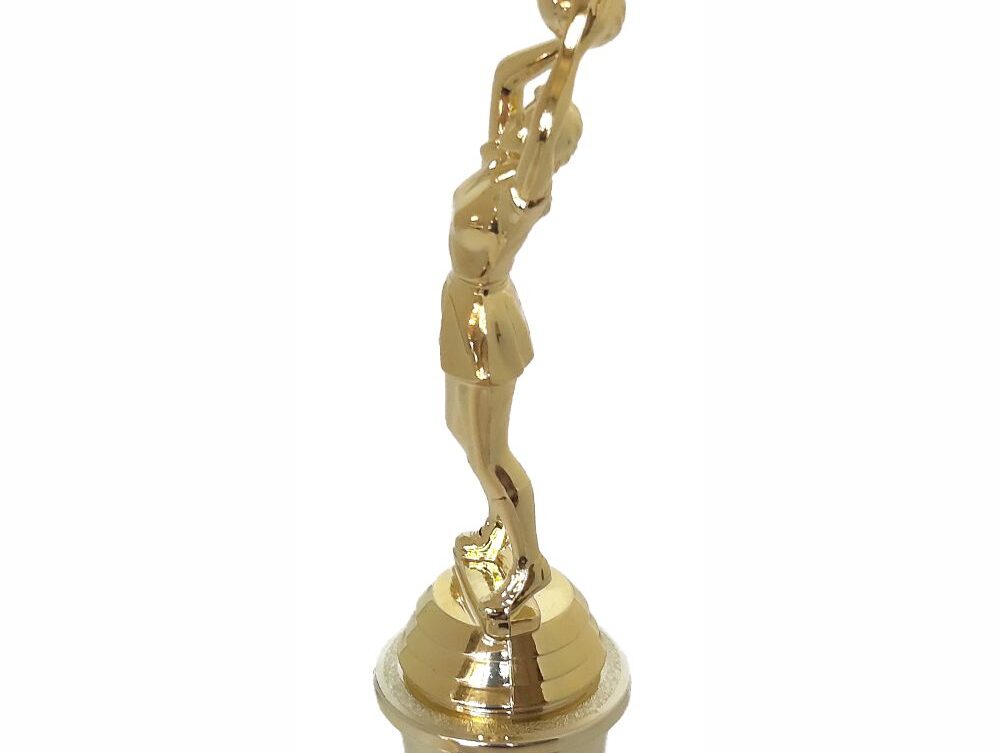 Netball Trophy 255mm