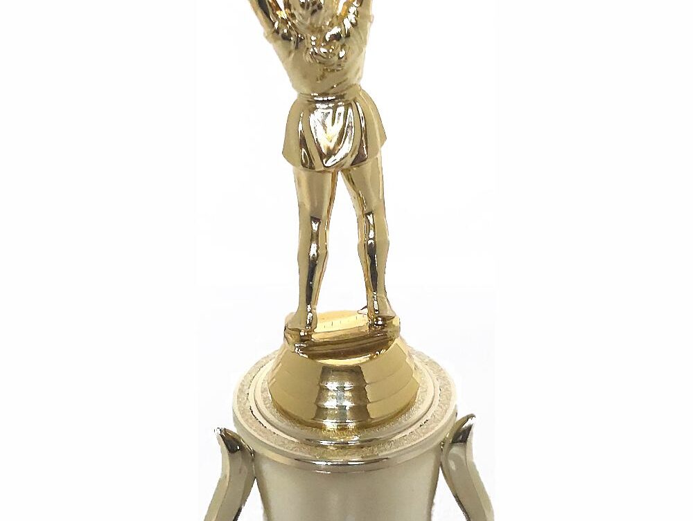 Netball Trophy 280mm