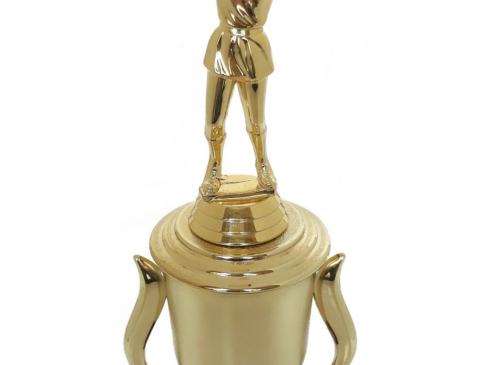 Netball Trophy 315mm