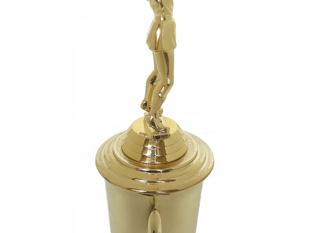 Netball Trophy 315mm
