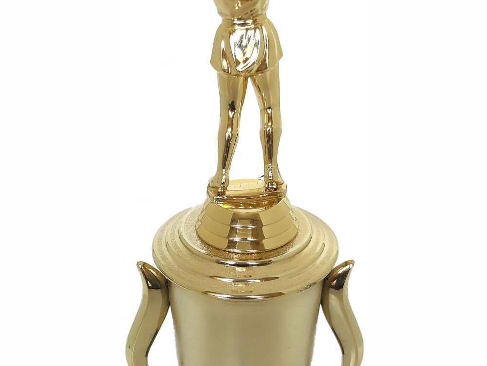Netball Trophy 315mm