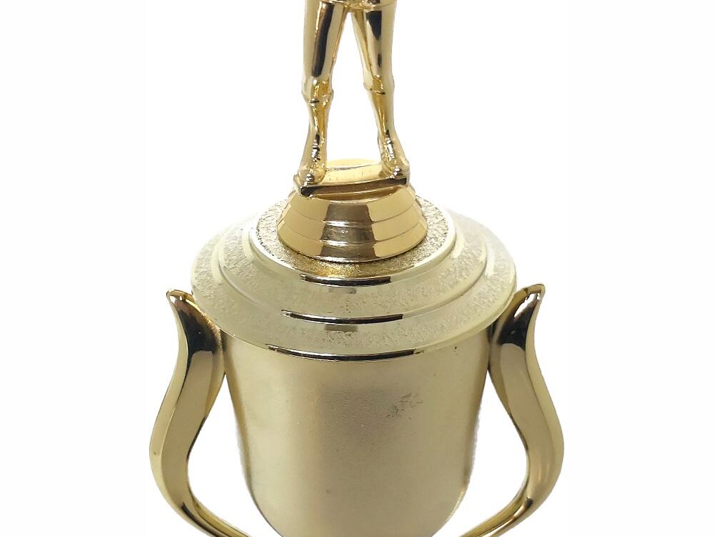 Netball Trophy 355mm