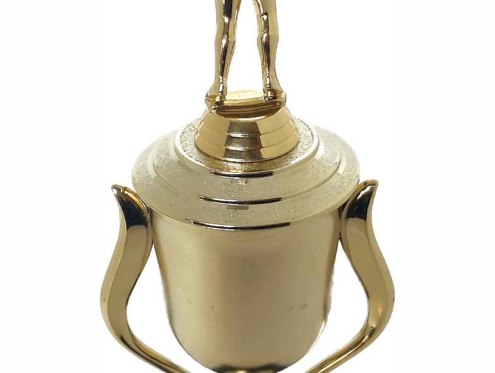 Netball Trophy 355mm