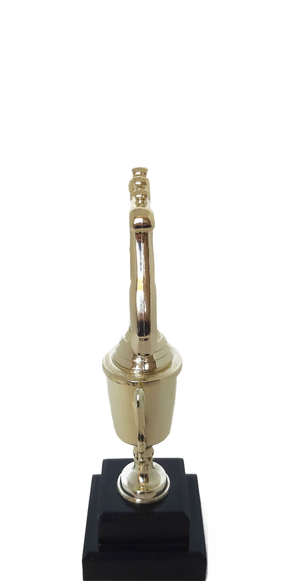 Music Lyre Trophy 245mm