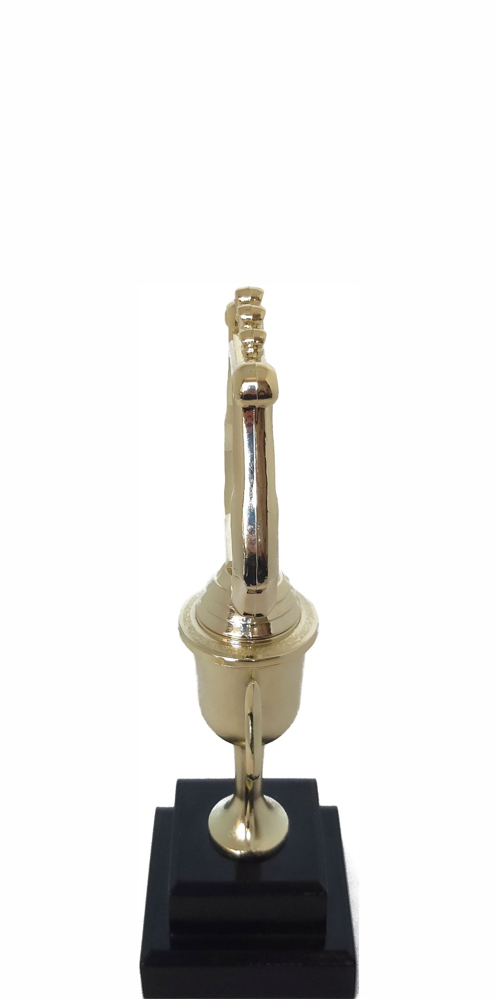 Music Lyre Trophy 245mm
