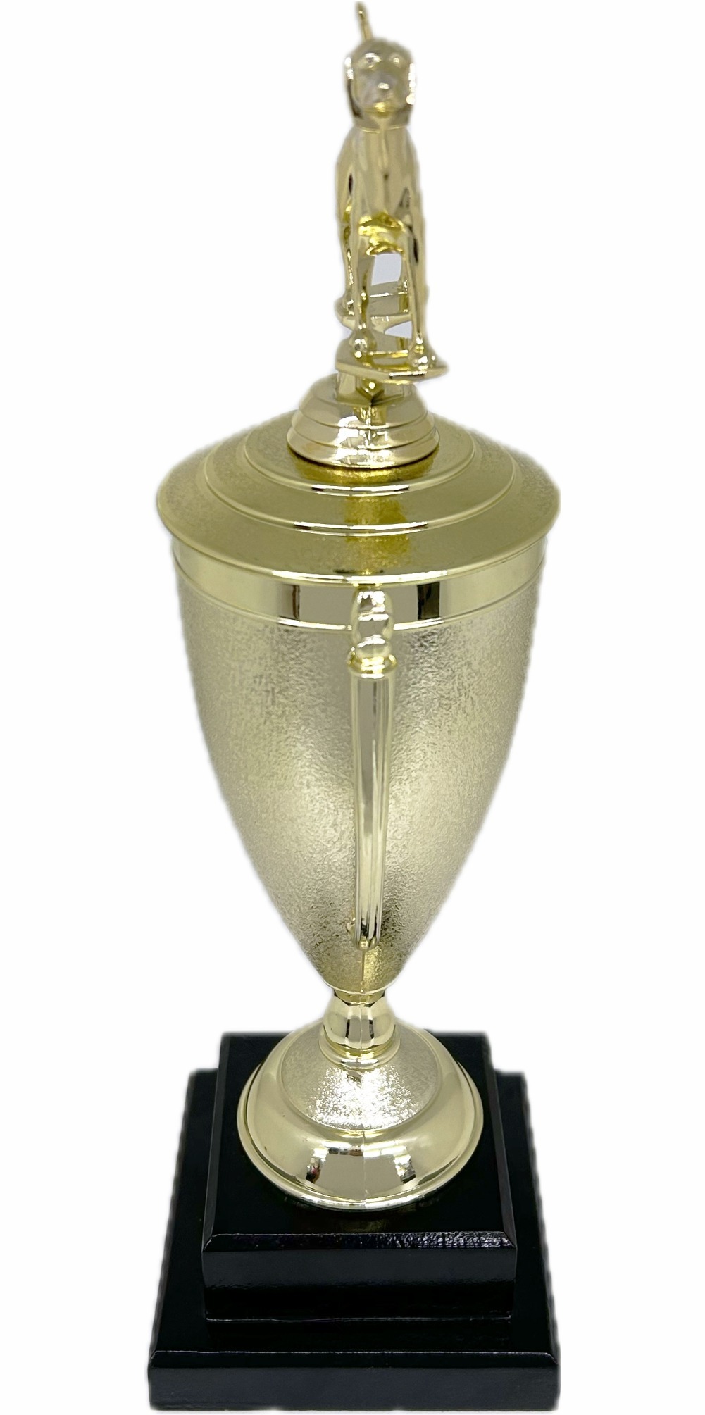 Dog Fox Hound Trophy 380mm