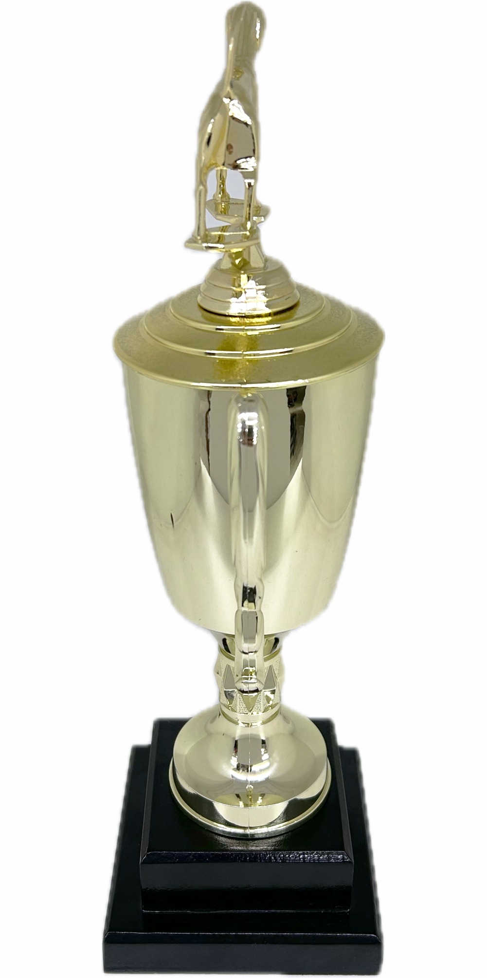 Dog Fox Hound Trophy 380mm