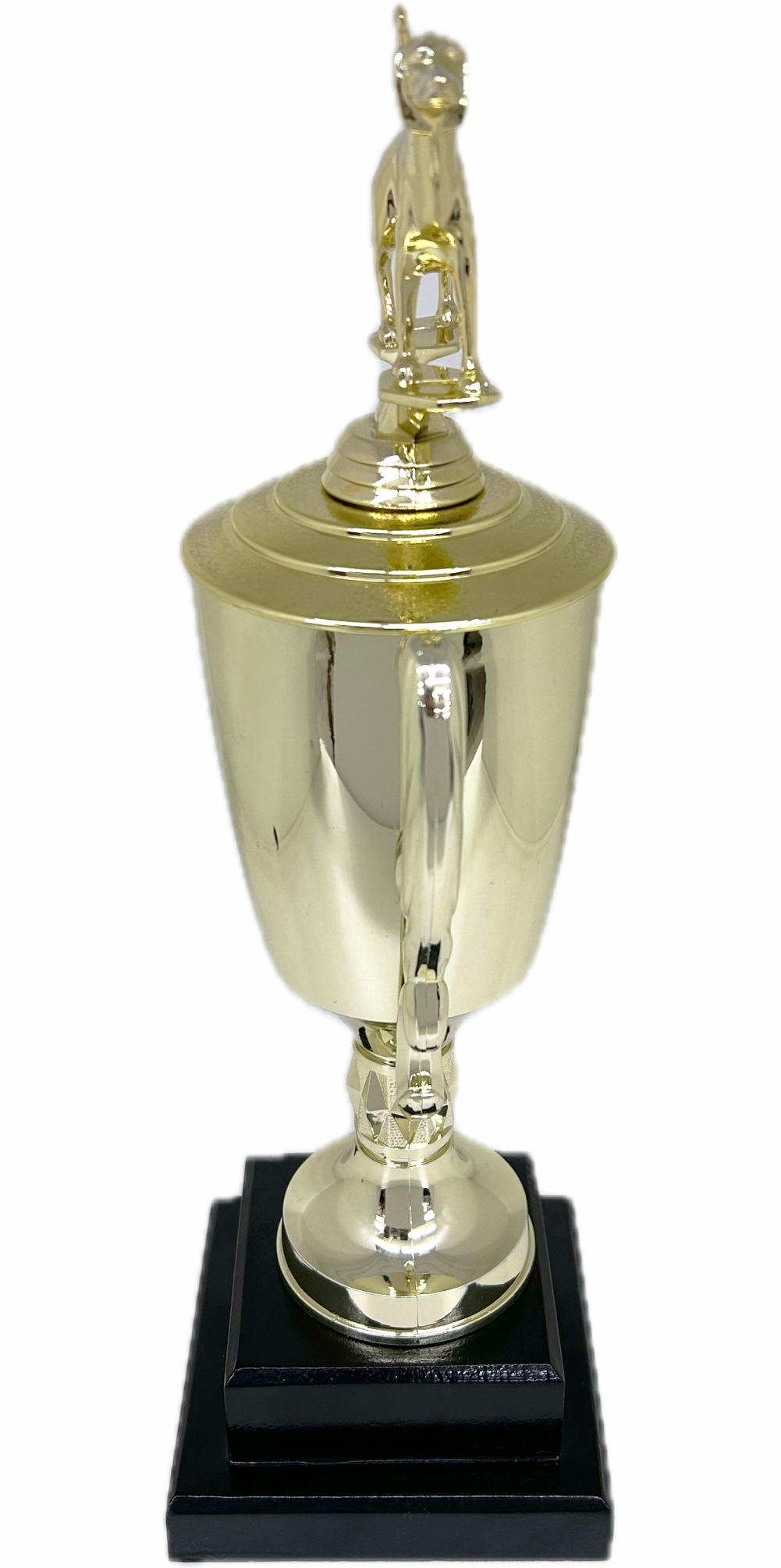 Dog Fox Hound Trophy 380mm
