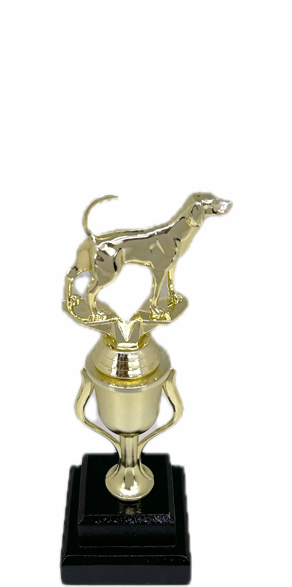 Dog Fox Hound Trophy 240mm