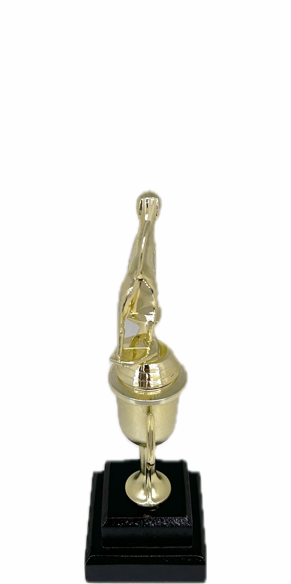 Dog Fox Hound Trophy 240mm