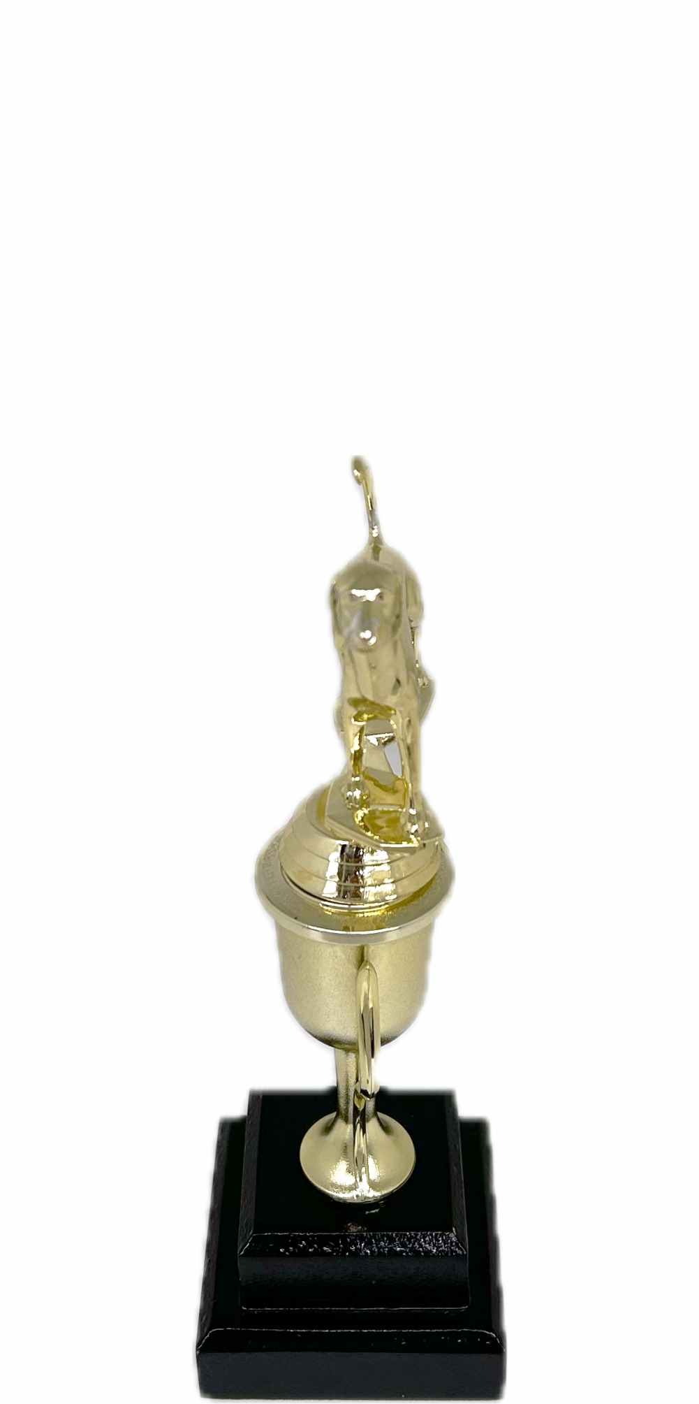 Dog Fox Hound Trophy 240mm