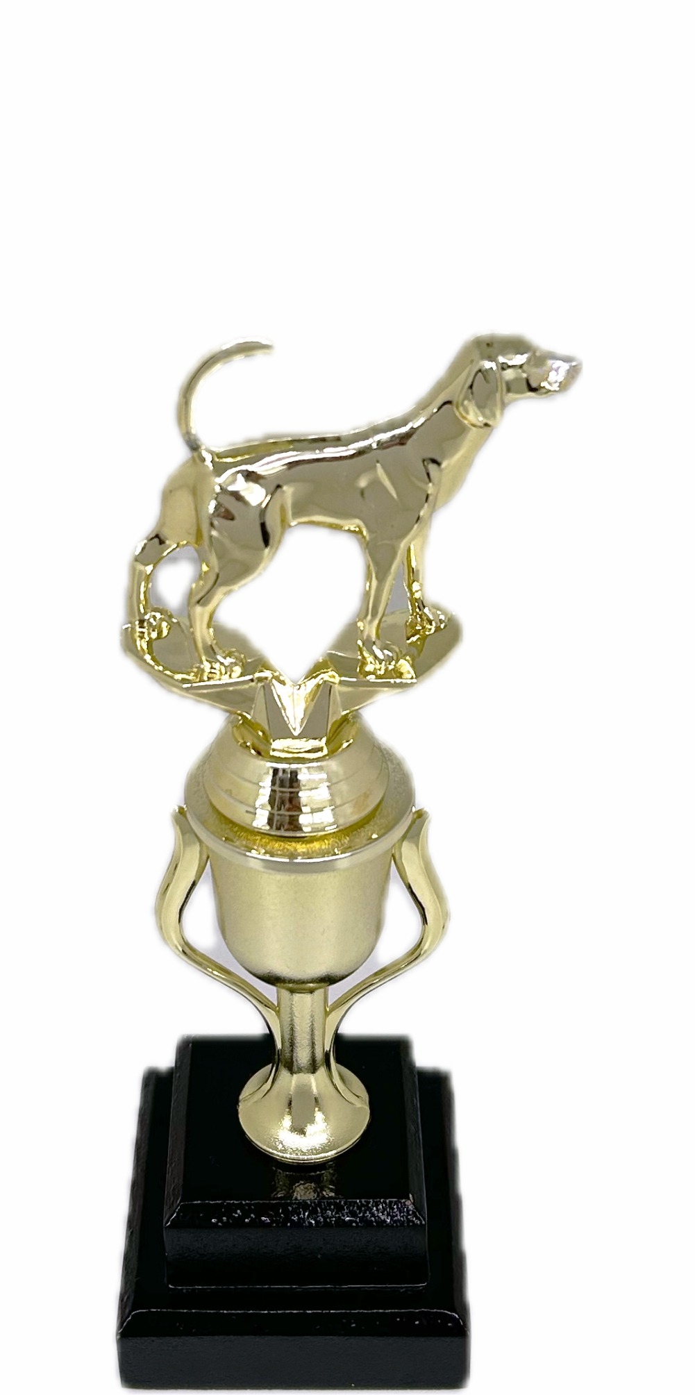 Dog Fox Hound Trophy 265mm