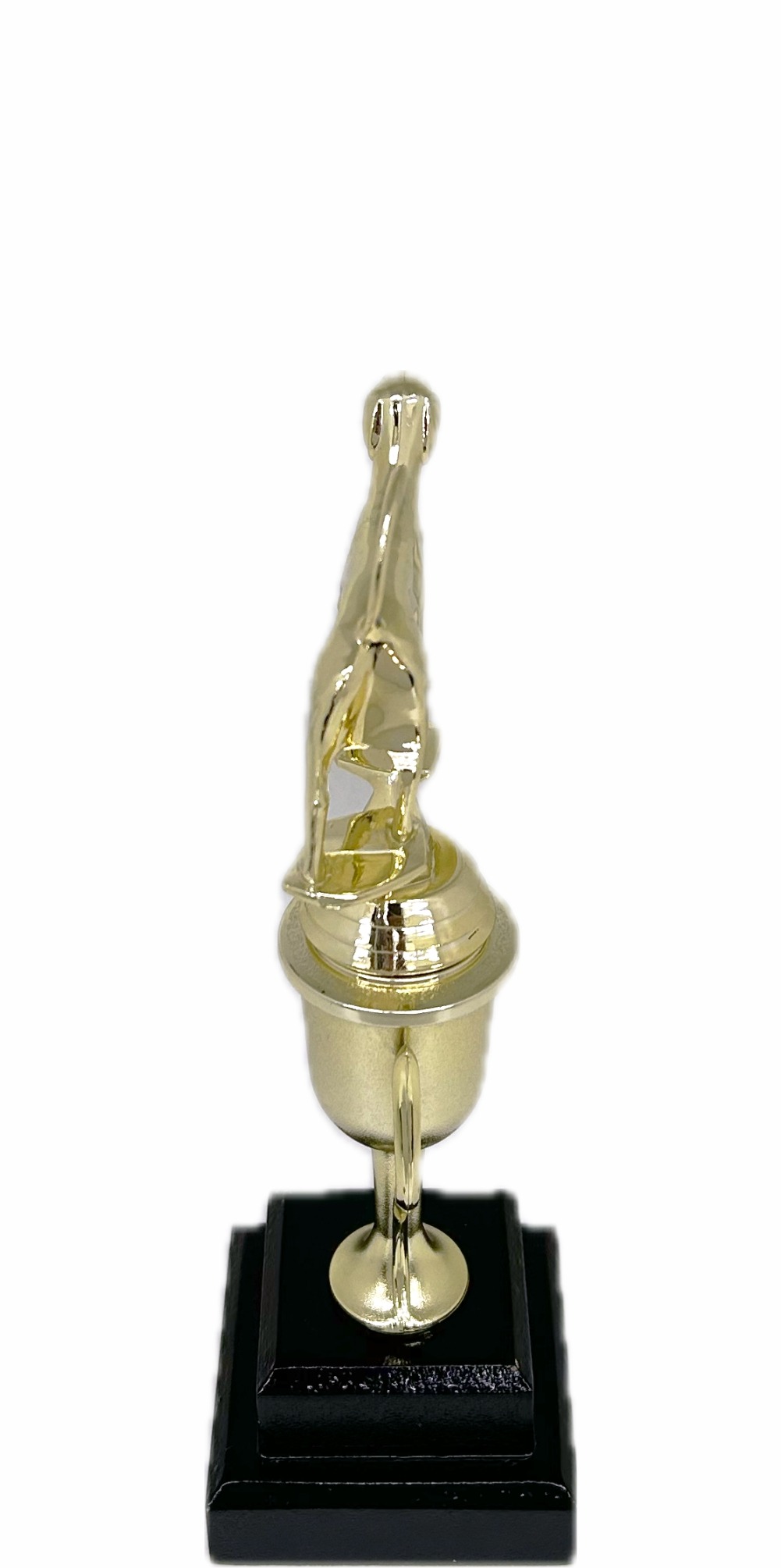Dog Fox Hound Trophy 265mm