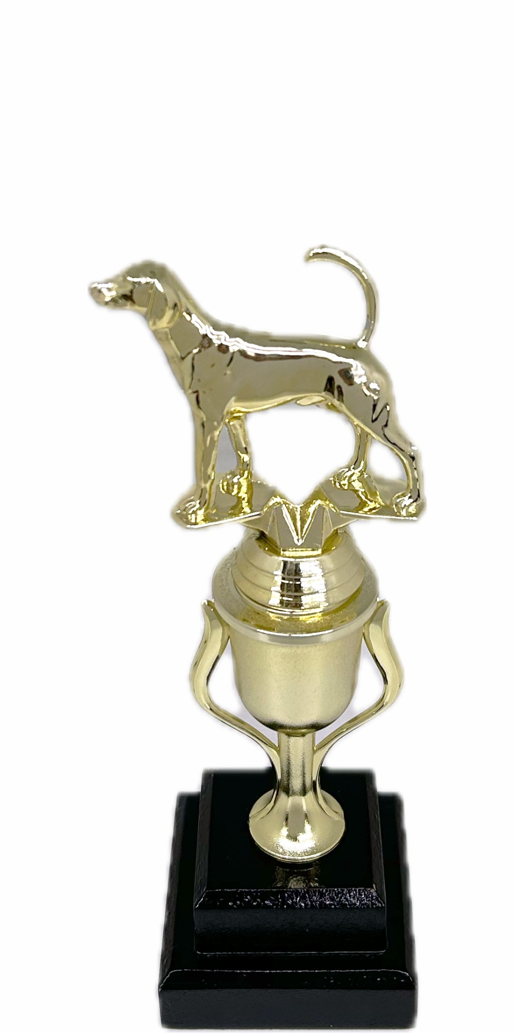Dog Fox Hound Trophy 265mm