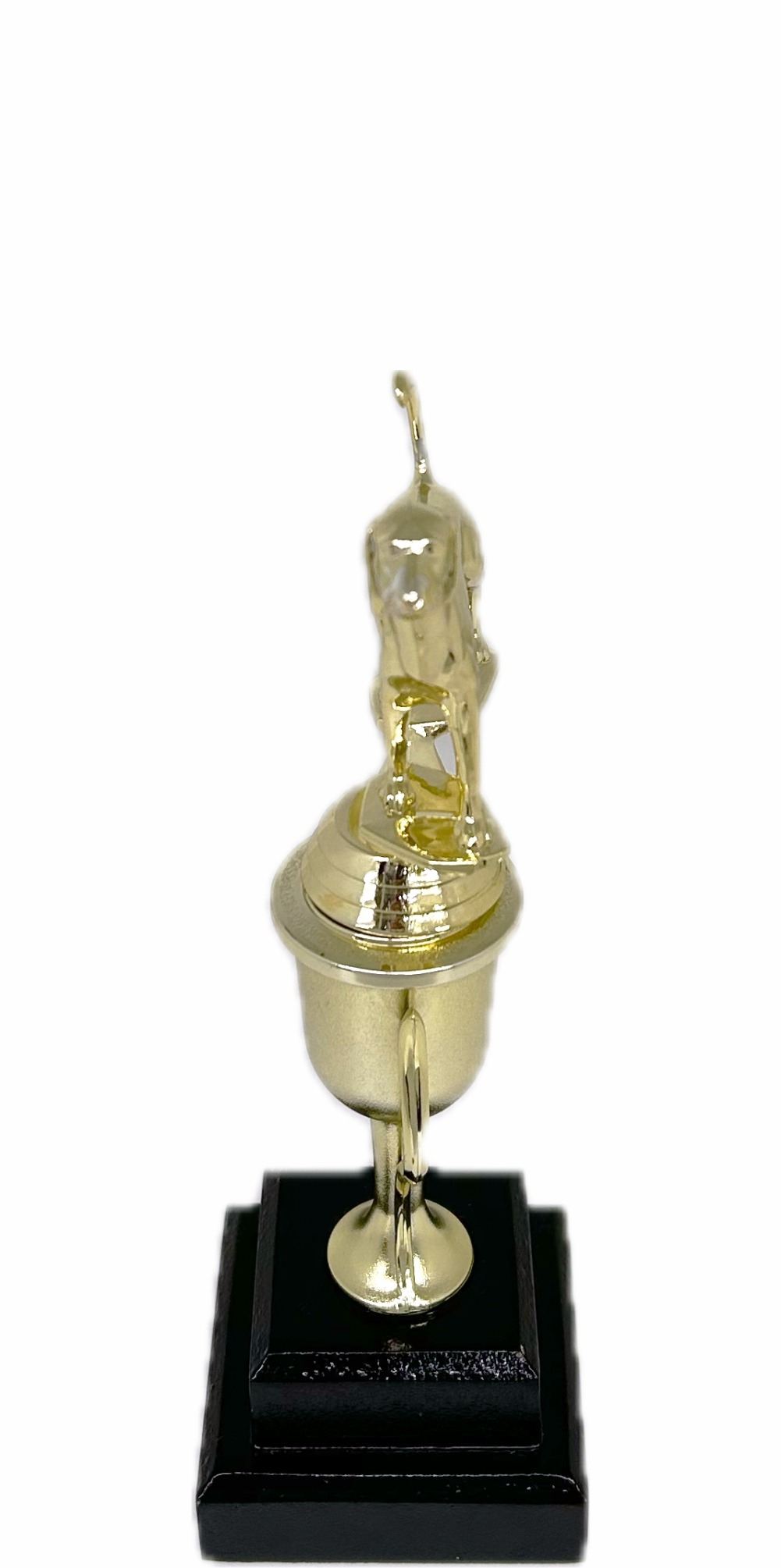 Dog Fox Hound Trophy 265mm