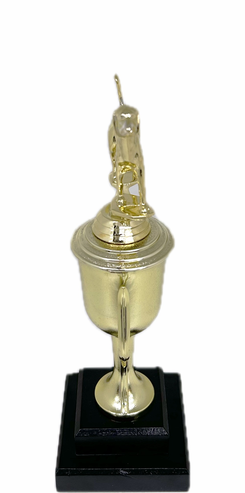 Dog Fox Hound Trophy 300mm
