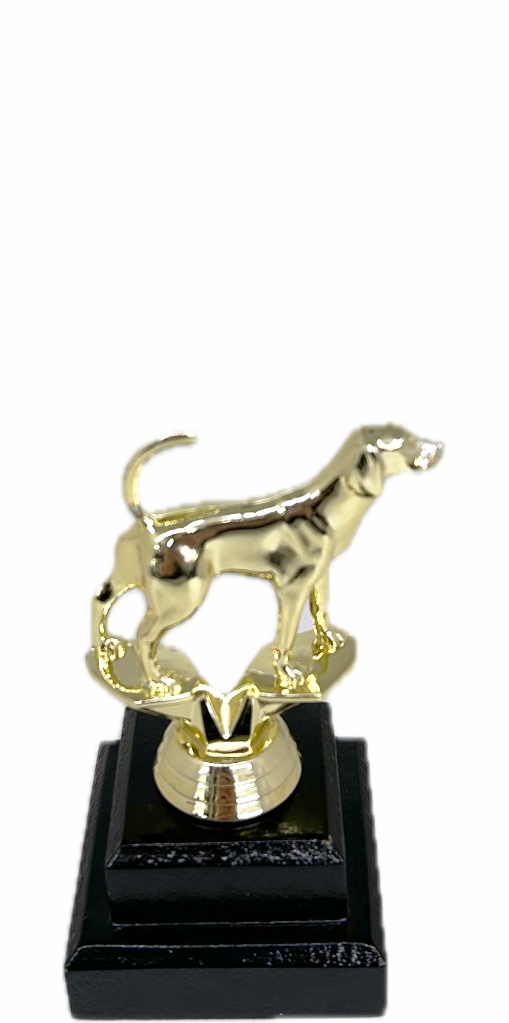 Dog Fox Hound Trophy 150mm