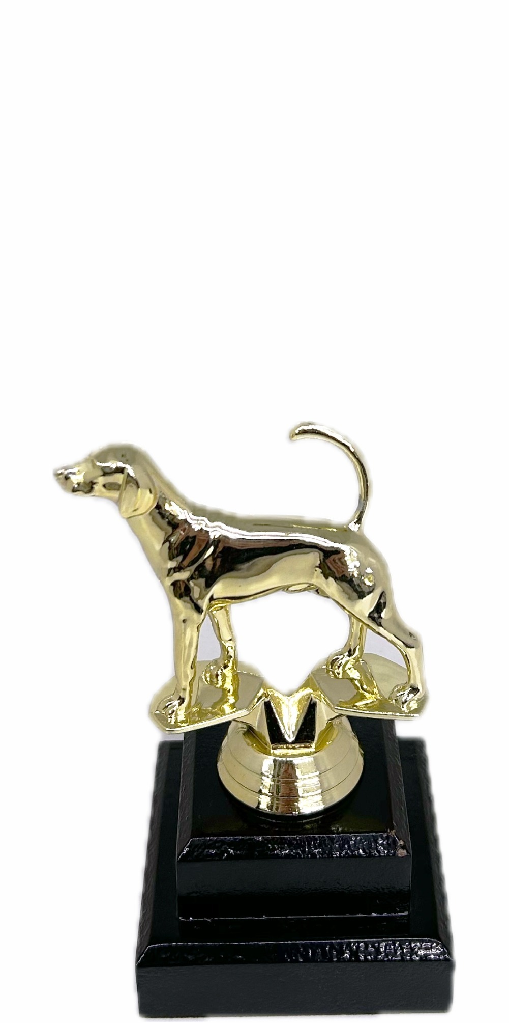Dog Fox Hound Trophy 150mm